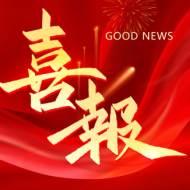 2025年2月 喜讯丨热烈祝贺云顶集团电气集团荣登乐清市高质量生长各项榜单！