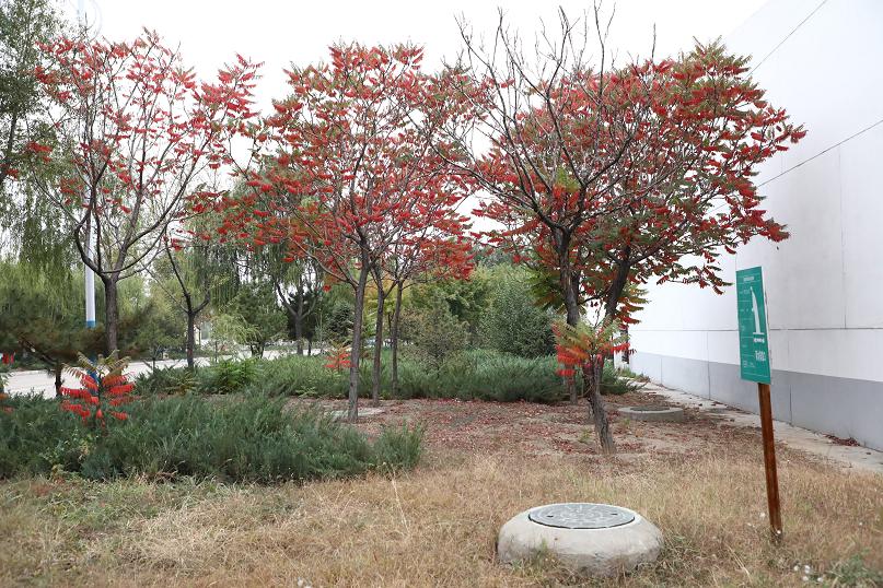 3499拉斯维加斯(官方认证)网站-Made in PRC