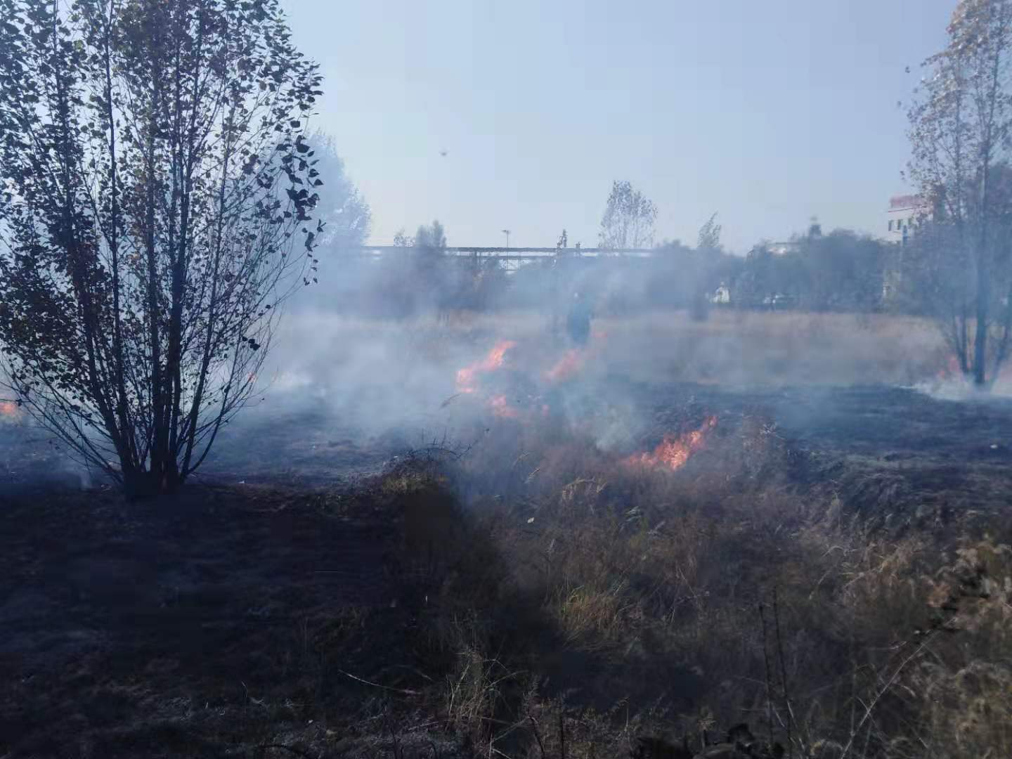 3499拉斯维加斯(官方认证)网站-Made in PRC