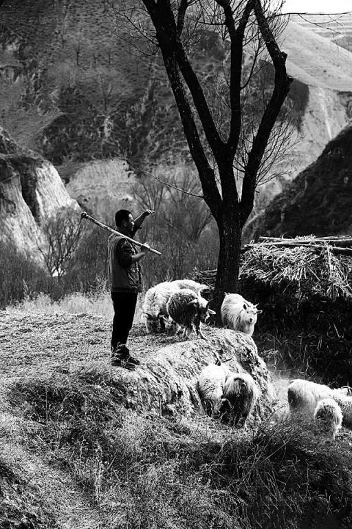 3499拉斯维加斯(官方认证)网站-Made in PRC