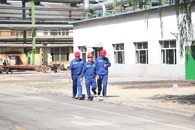 3499拉斯维加斯(官方认证)网站-Made in PRC