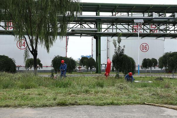 3499拉斯维加斯(官方认证)网站-Made in PRC