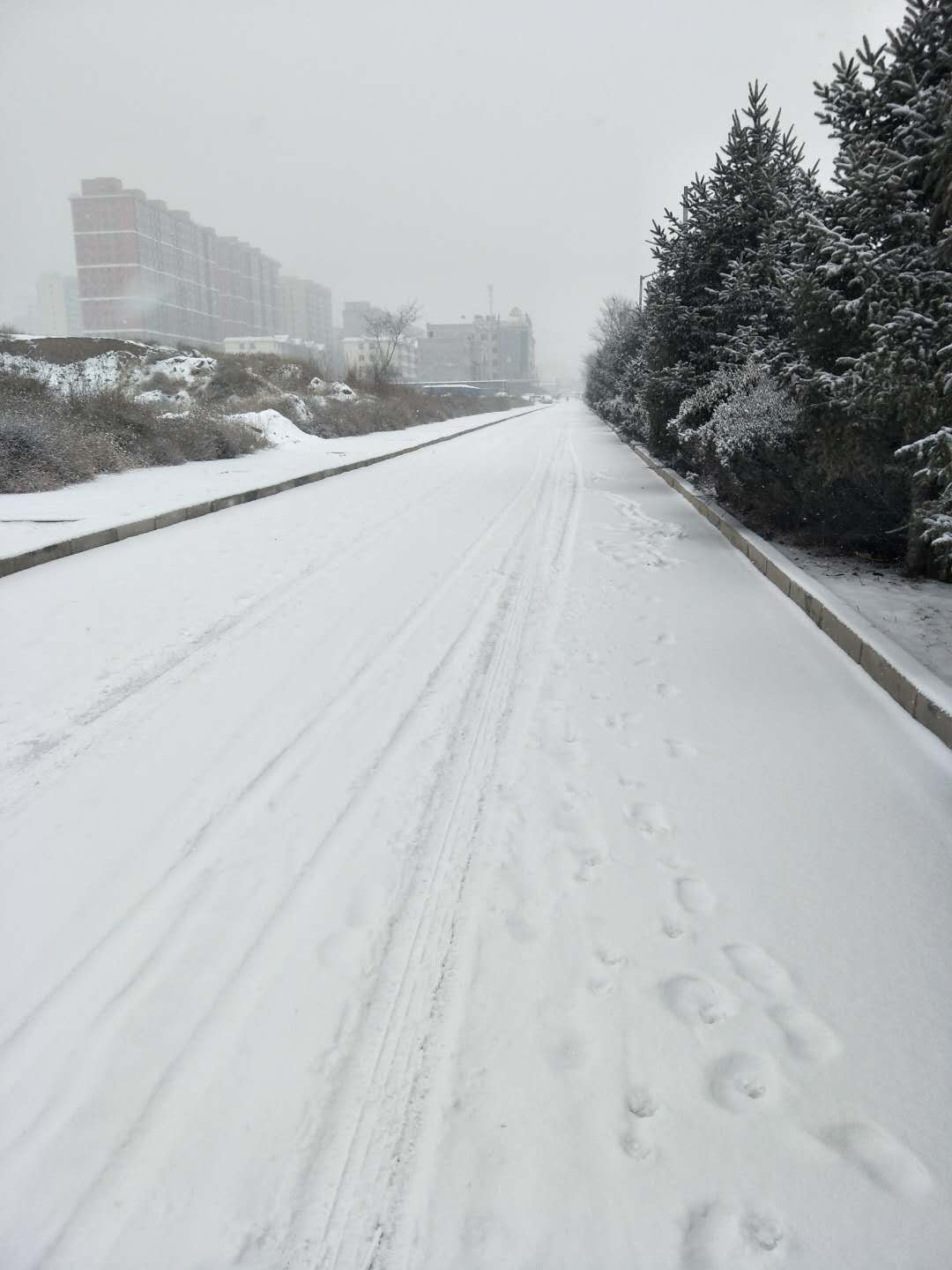 3499拉斯维加斯(官方认证)网站-Made in PRC